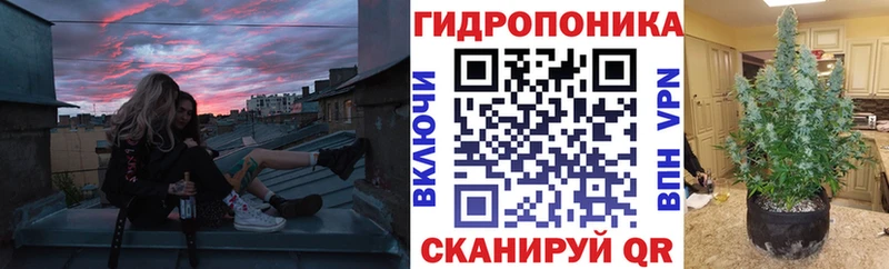 Продажа наркотиков Южно-Сухокумск Каннабис  Галлюциногенные грибы  ГАШИШ  Меф мяу мяу 