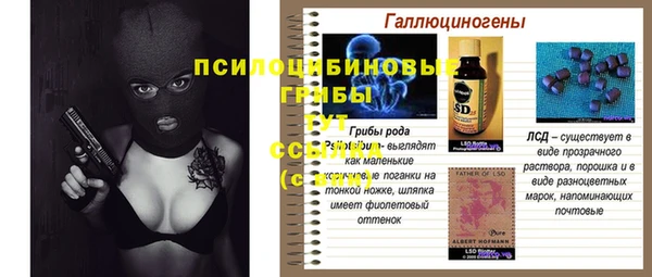 СК Богородицк