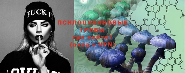 кокаин колумбия Богданович